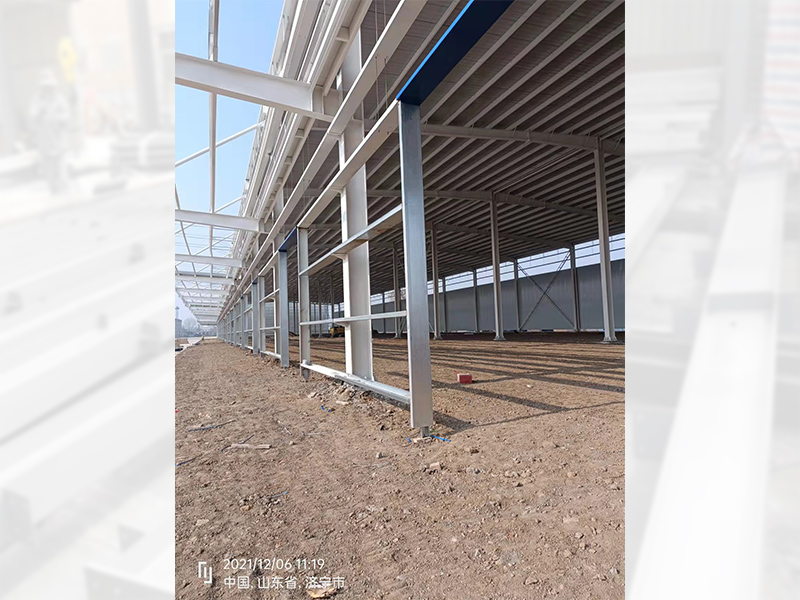 鋼結(jié)構(gòu)廠房4.jpg